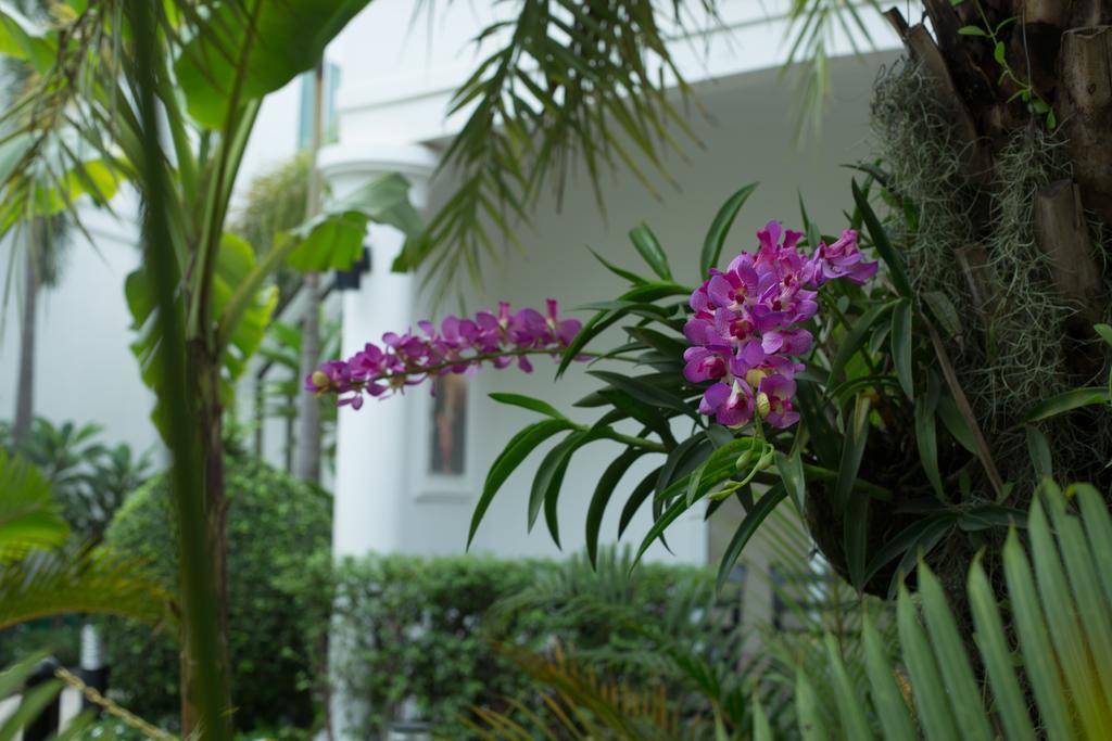Marvel Holiday Boutique Villa Sziemreap Kültér fotó